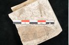 Foto (Detailansicht) von Laurus lalages Unger (NHMW-GEO-2024-0188-8150)